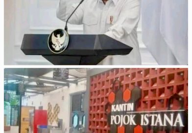 PPPT Apresiasi Dukungan Presiden Prabowo terhadap Pembentukan Provinsi Tapanuli