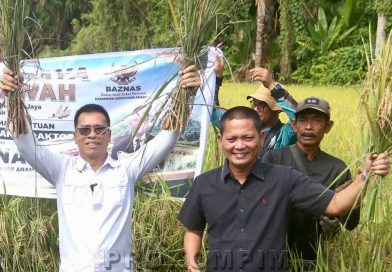 Hari Jadi Anambas ke-18, Aneng Serahkan Alsintan kepada Petani