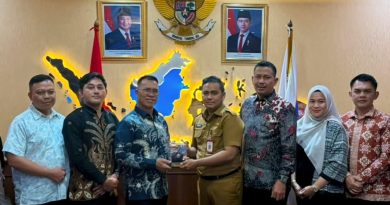 Aneng Temui Wamendagri, Bahas Tata Kelola dan Fiskal