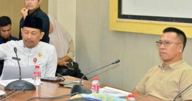 Aneng Desak KKKS Perbesar Dukungan ke Anambas