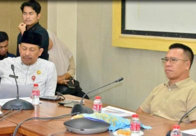 Aneng Desak KKKS Perbesar Dukungan ke Anambas